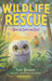 How to Save an Owl by Kate Messner
