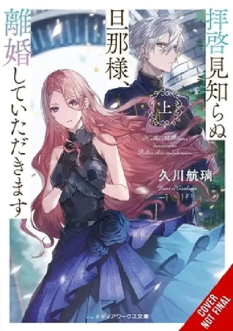 To Sir, Without Love: I'm Divorcing You I, Part 1 (Light Novel) by Kori Hisakawa