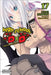 High School DXD, Vol. 17 (Light Novel): Professor Valkyrie by Ichiei Ishibumi