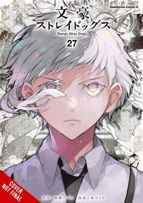 Bungo Stray Dogs by Kafka Asagiri