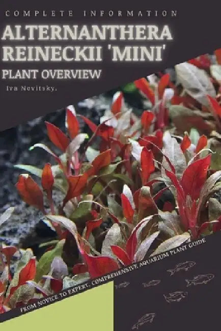 Alternanthera Reineckii 'Mini': From Novice to Expert. Comprehensive Aquarium Plants Guide by Iva Novitsky