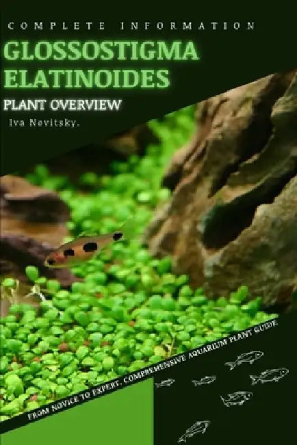 Glossostigma Elatinoides: From Novice to Expert. Comprehensive Aquarium Plants Guide by Iva Novitsky