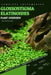 Glossostigma Elatinoides: From Novice to Expert. Comprehensive Aquarium Plants Guide by Iva Novitsky