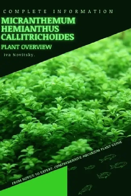 Micranthemum Hemianthus Callitrichoides: From Novice to Expert. Comprehensive Aquarium Plants Guide by Iva Novitsky