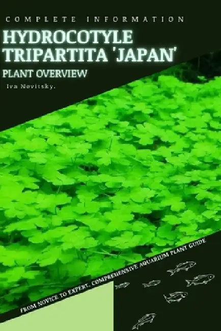 Hydrocotyle tripartita 'Japan': From Novice to Expert. Comprehensive Aquarium Plants Guide by Iva Novitsky