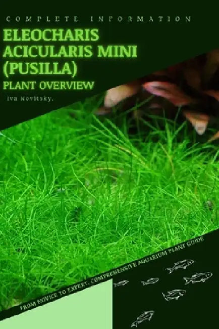 Eleocharis acicularis Mini (pusilla): From Novice to Expert. Comprehensive Aquarium Plants Guide by Iva Novitsky