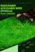 Eleocharis acicularis Mini (pusilla): From Novice to Expert. Comprehensive Aquarium Plants Guide by Iva Novitsky