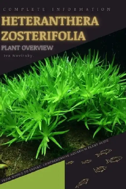 Heteranthera Zosterifolia: From Novice to Expert. Comprehensive Aquarium Plants Guide by Iva Novitsky
