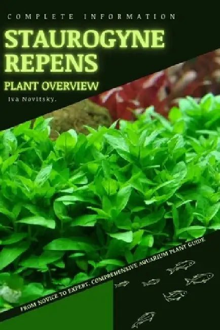 Staurogyne Repens: From Novice to Expert. Comprehensive Aquarium Plants Guide by Iva Novitsky