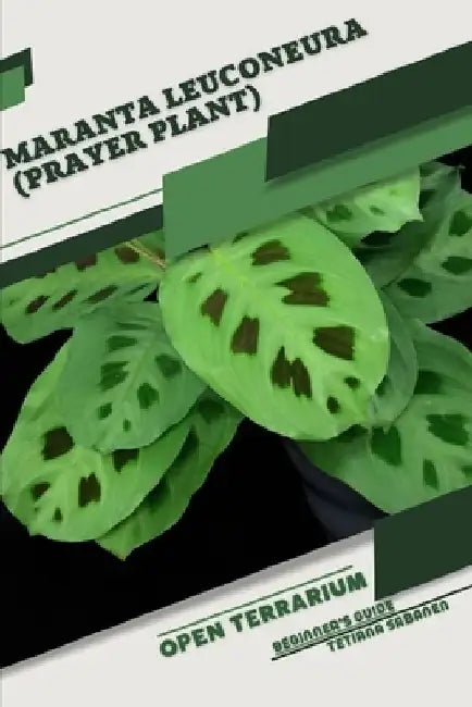 Maranta leuconeura (Prayer Plant): Open terrarium, Beginner's Guide by Tetiana Sabanen
