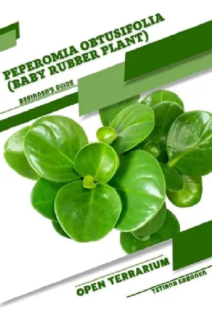 Peperomia obtusifolia (Baby Rubber Plant): Open terrarium, Beginner's Guide by Tetiana Sabanen