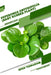 Peperomia obtusifolia (Baby Rubber Plant): Open terrarium, Beginner's Guide by Tetiana Sabanen