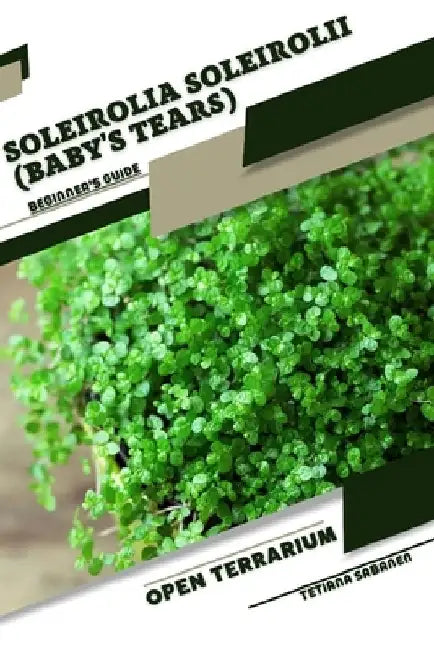 Soleirolia soleirolii (Baby's Tears): Open terrarium, Beginner's Guide by Tetiana Sabanen
