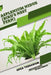 Asplenium nidus (Bird's Nest Fern): Open terrarium, Beginner's Guide by Tetiana Sabanen