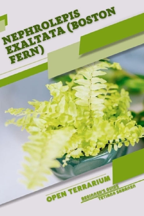 Nephrolepis exaltata (Boston Fern): Open terrarium, Beginner's Guide by Tetiana Sabanen