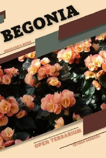 Begonia: Open terrarium, Beginner's Guide by Tetiana Sabanen