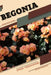 Begonia: Open terrarium, Beginner's Guide by Tetiana Sabanen