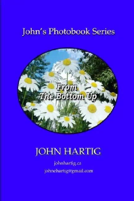 From the Bottom Up: The Low Perspective by John Hartig