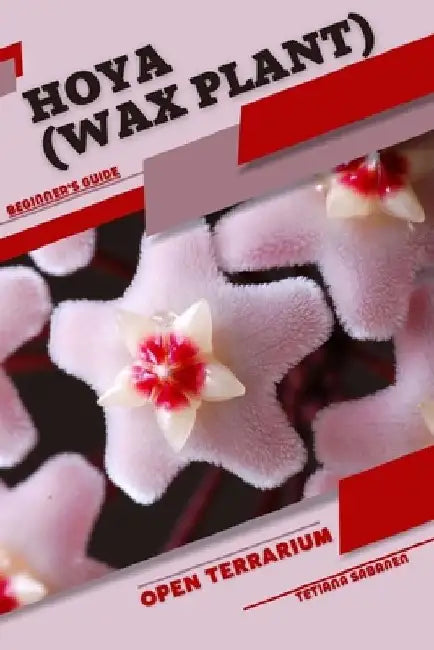 Hoya (Wax Plant): Open terrarium, Beginner's Guide by Tetiana Sabanen