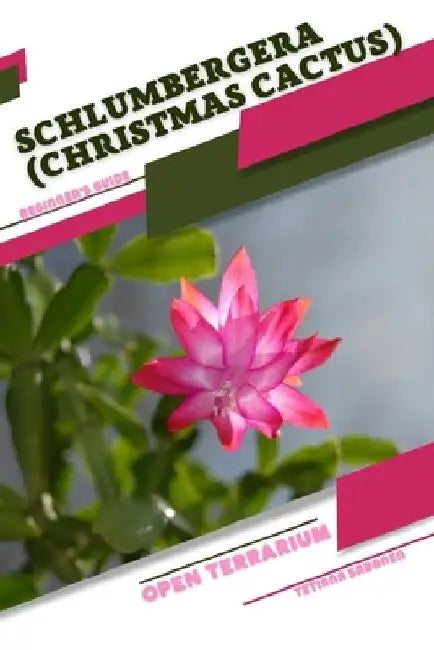 Schlumbergera (Christmas Cactus): Open terrarium, Beginner's Guide by Tetiana Sabanen