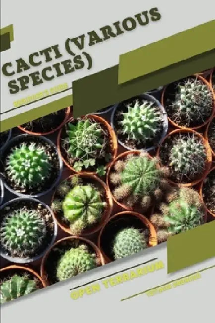 Cacti (various species): Open terrarium, Beginner's Guide by Tetiana Sabanen