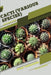 Cacti (various species): Open terrarium, Beginner's Guide by Tetiana Sabanen