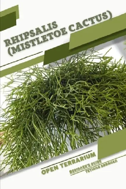 Rhipsalis (Mistletoe Cactus): Open terrarium, Beginner's Guide by Tetiana Sabanen