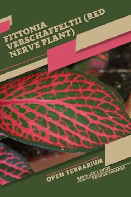 Fittonia verschaffeltii (Red Nerve Plant): Open terrarium, Beginner's Guide by Tetiana Sabanen