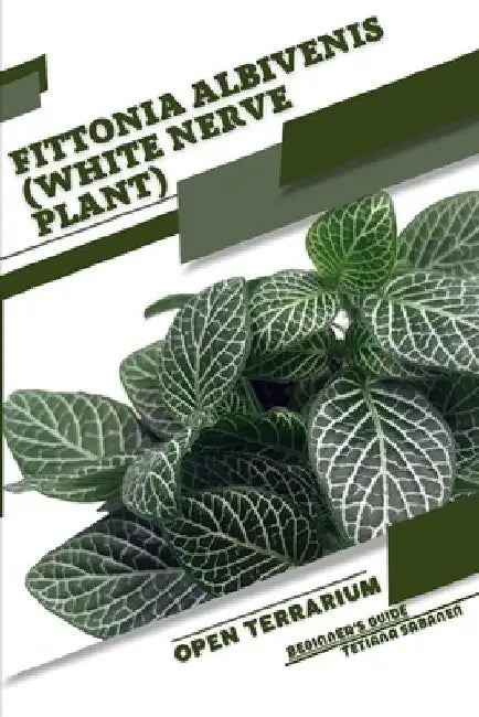 Fittonia albivenis (White Nerve Plant): Open terrarium, Beginner's Guide by Tetiana Sabanen