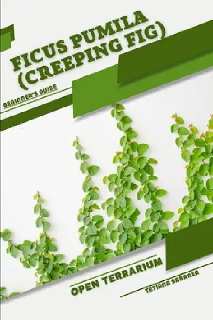 Ficus pumila (Creeping Fig): Open terrarium, Beginner's Guide by Tetiana Sabanen