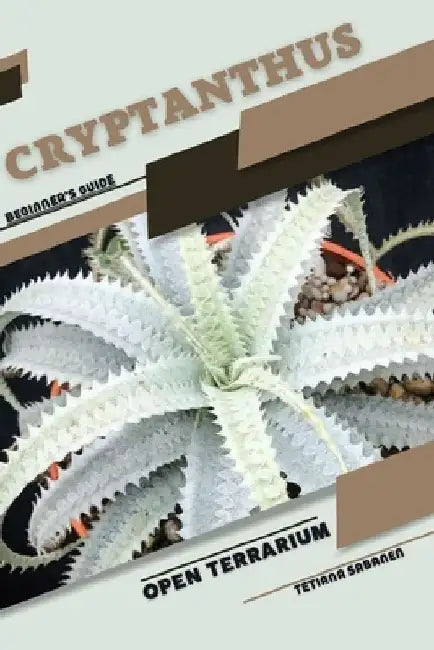 Cryptanthus: Open terrarium, Beginner's Guide by Tetiana Sabanen
