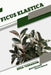 Ficus elastica: Open terrarium, Beginner's Guide by Tetiana Sabanen