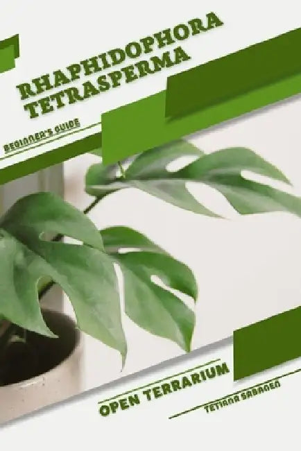 Rhaphidophora tetrasperma: Open terrarium, Beginner's Guide by Tetiana Sabanen