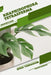Rhaphidophora tetrasperma: Open terrarium, Beginner's Guide by Tetiana Sabanen