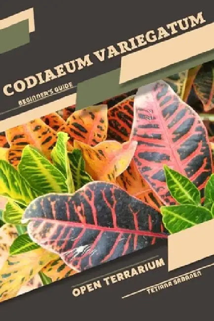 Codiaeum variegatum: Open terrarium, Beginner's Guide by Tetiana Sabanen