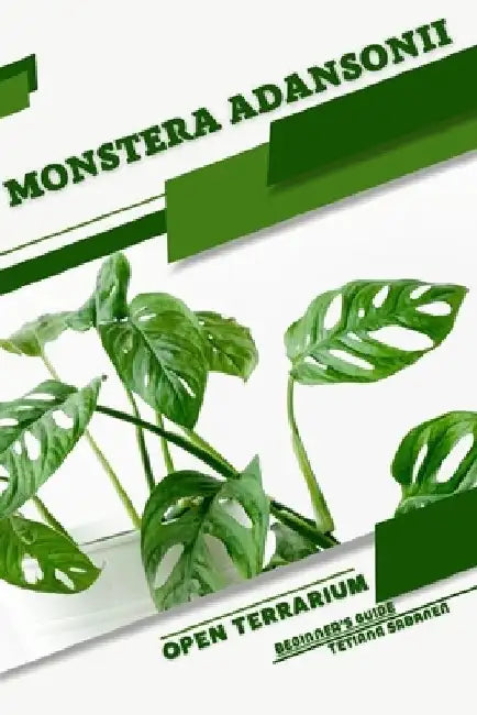 Monstera adansonii: Open terrarium, Beginner's Guide by Tetiana Sabanen