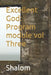 Excellent God: Program module vol Three by Shalom