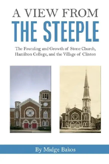 A View from the Steeple by Mary Ann Stiefvater