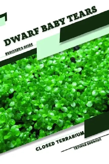 Dwarf Baby Tears: Closed terrarium, Beginner's Guide by Tetiana Sabanen