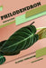 Philodendron: Closed terrarium, Beginner's Guide by Tetiana Sabanen