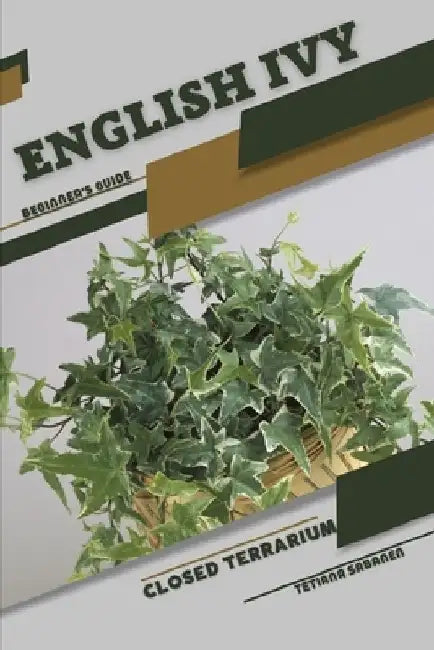 English Ivy: Closed terrarium, Beginner's Guide by Tetiana Sabanen