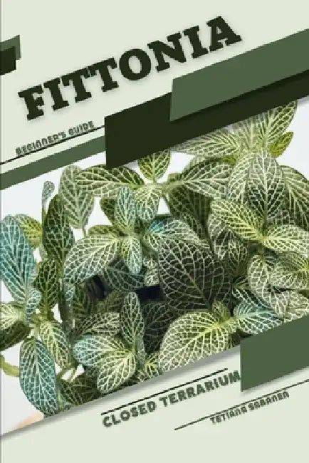 Fittonia: Closed terrarium, Beginner's Guide by Tetiana Sabanen