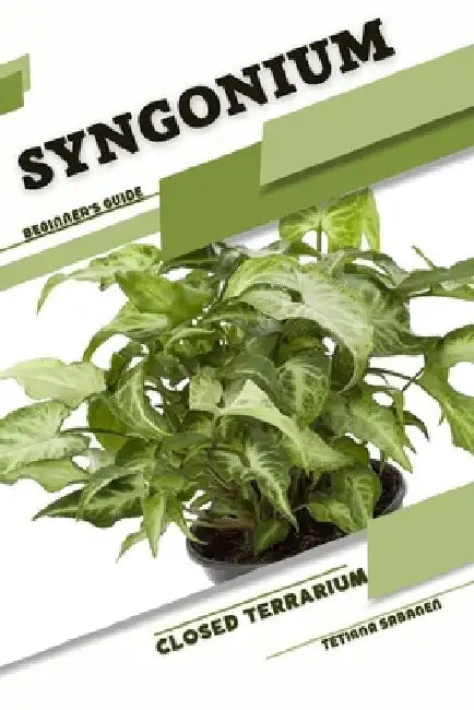 Syngonium: Closed terrarium, Beginner's Guide by Tetiana Sabanen