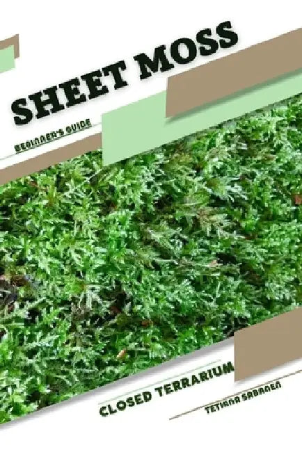 Sheet Moss: Closed terrarium, Beginner's Guide by Tetiana Sabanen