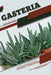 Gasteria: Closed terrarium, Beginner's Guide by Tetiana Sabanen