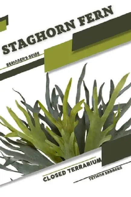 Staghorn Fern: Closed terrarium, Beginner's Guide by Tetiana Sabanen