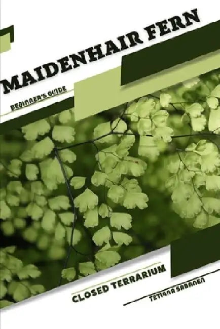 Maidenhair Fern: Closed terrarium, Beginner's Guide by Tetiana Sabanen