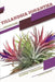 Tillandsia ionantha: Closed terrarium, Beginner's Guide by Tetiana Sabanen