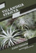 Tillandsia stricta: Closed terrarium, Beginner's Guide by Tetiana Sabanen