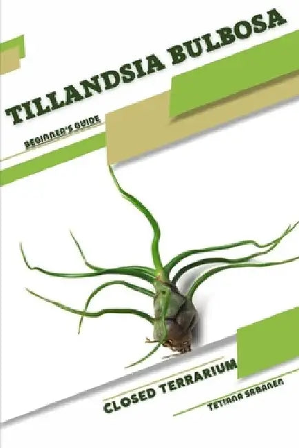 Tillandsia bulbosa: Closed terrarium, Beginner's Guide by Tetiana Sabanen